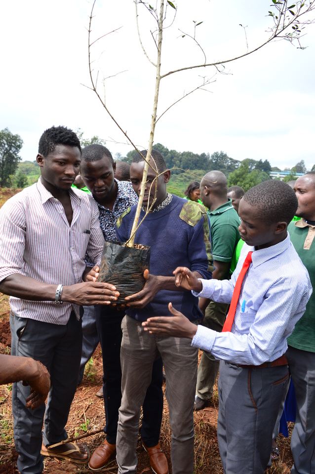 “We are together in this brothers and sisters”, students from Garissa University and the College of Agriculture and Veterinary Sciences (CAVS) plant an olive tree