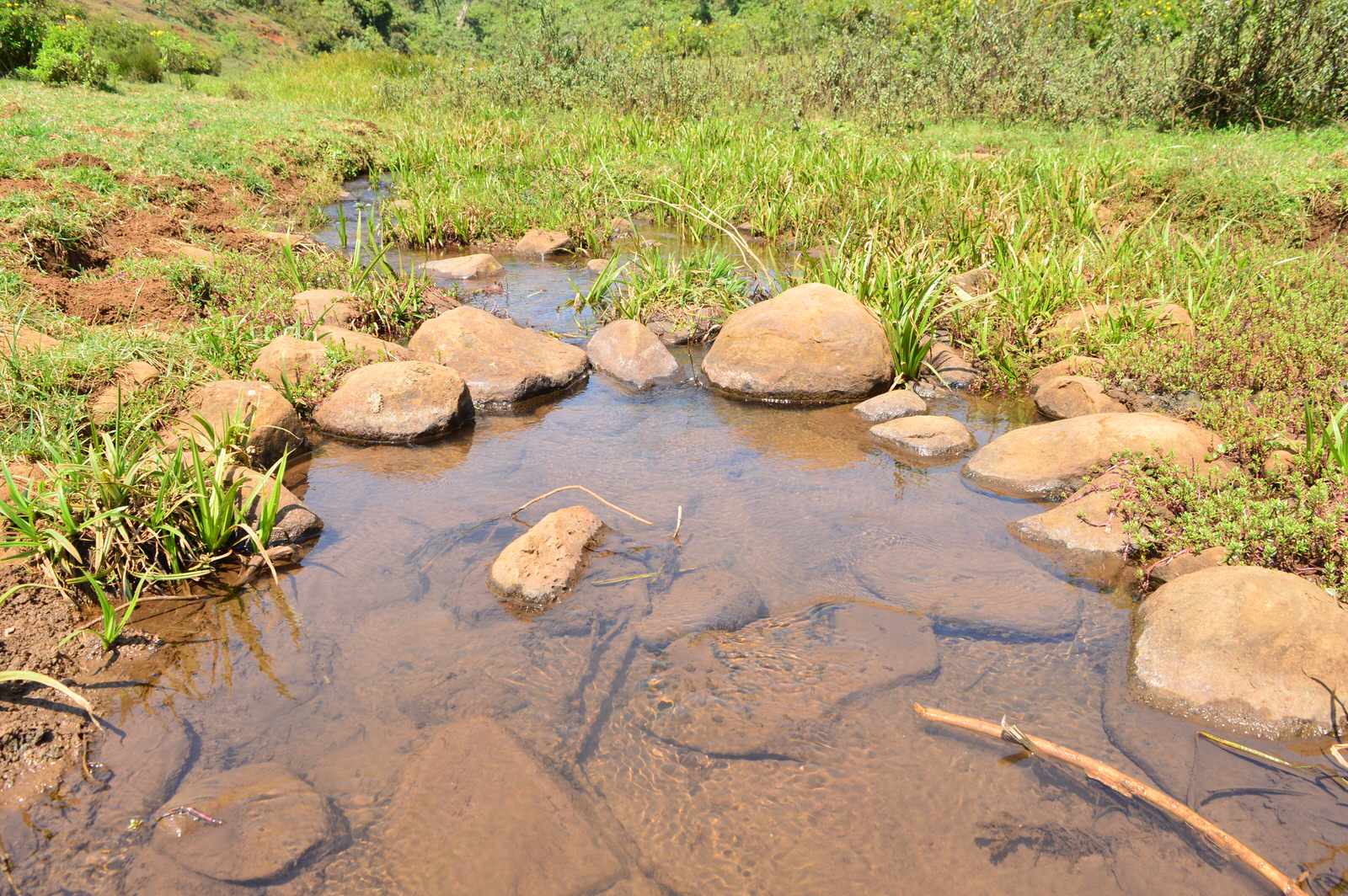 Mt. Kenya Forest is a source of many streams which join and flow into major rivers