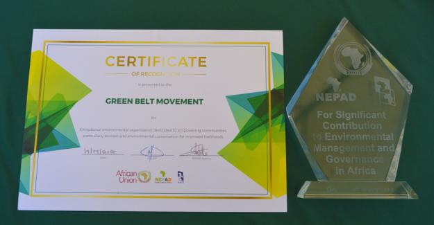 Green Belt Movement awarded at the 1st Africa Environment Partnership Platform 