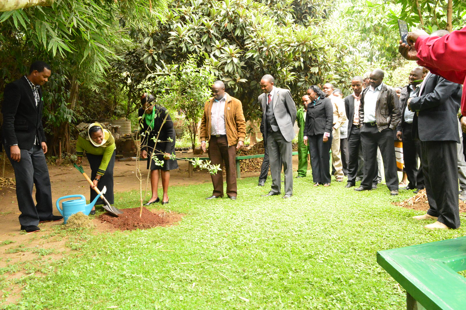 The Green Belt Movement team led by the Executive Director plants a tree to mark this special day