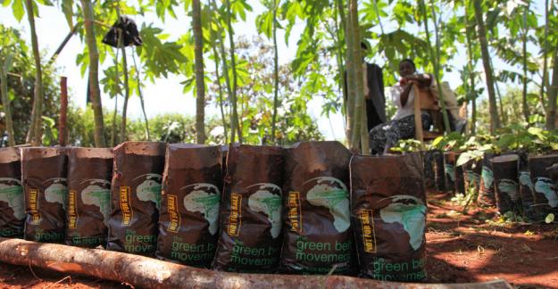 Easily give a gift while supporting tree planting in Kenya for just $10 (U.S.).