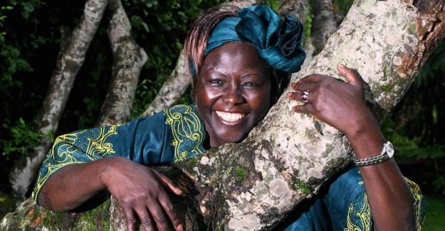 Heartfelt tributes were received from world leaders and friends after Professor Wangari Maathai passed away.